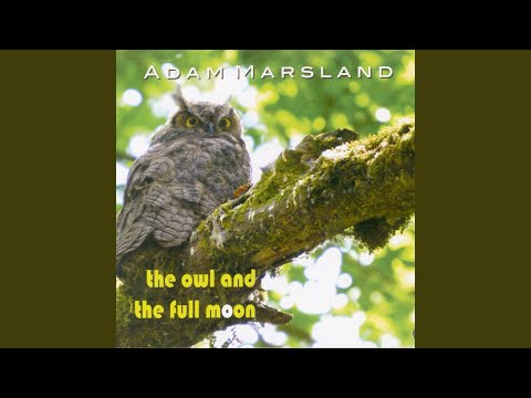 download lagu mp3 mp4 Adam Marsland I Wanna Be In Love, download mp3 Adam Marsland I Wanna Be In Love free download mp3, download mp3 Adam Marsland I Wanna Be In Love