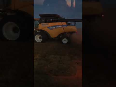 trigo 80qq/ha Los Cardos (  sta fe )