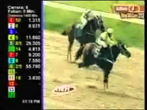 Resumen Viernes, 13 de Junio de 2014 - Valencia