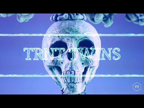 TRNT Twins - Пушим само газ (Official Audio)