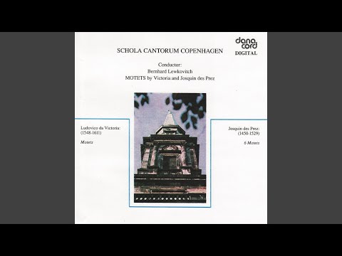 6 Motets: O domine Jesu Christe