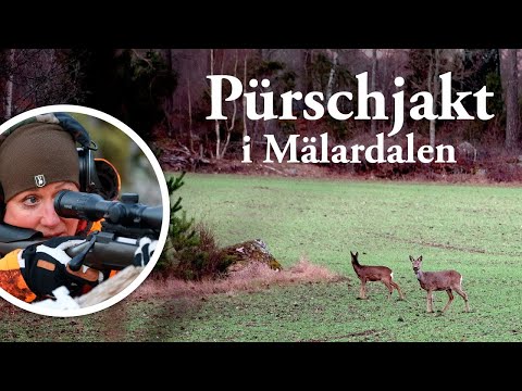 Jaktresan: Pürschjakt i Mälardalen
