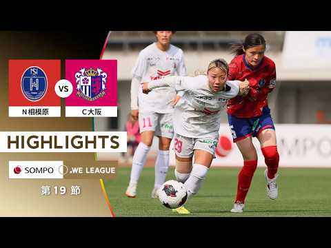bg-highlight