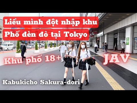341 | Liều Mình Đột Nhập Khu Phố Đèn Đỏ Tại Tokyo | Cuộc Sống ở Nhật | Đức Thư Vlogs