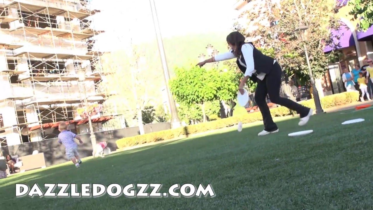 Promotional video thumbnail 1 for Dazzle Dogzz