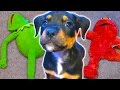 Puppy ATTACKS Kermit The Frog And Elmo