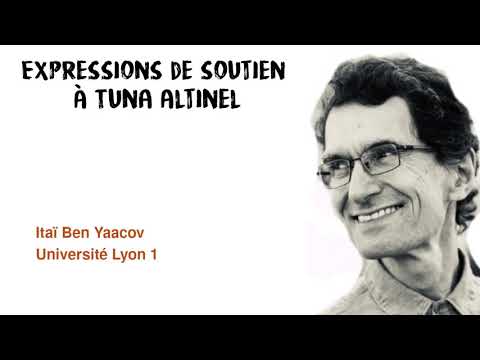 Itaï Ben Yaacov - Université Lyon 1