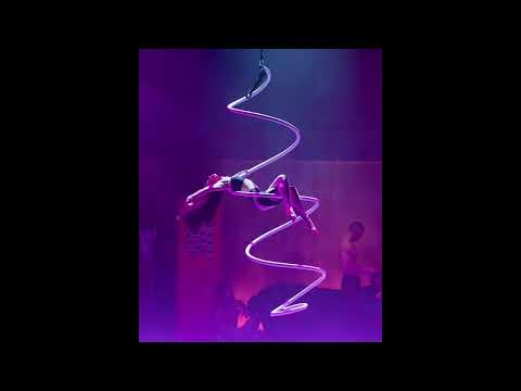 Aerial Artistry