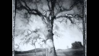 No Motiv - Fall From Grace