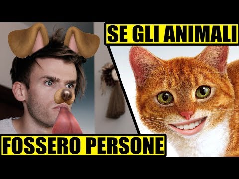 SE GLI ANIMALI FOSSERO PERSONE 😹 - PARODIA - iPantellas