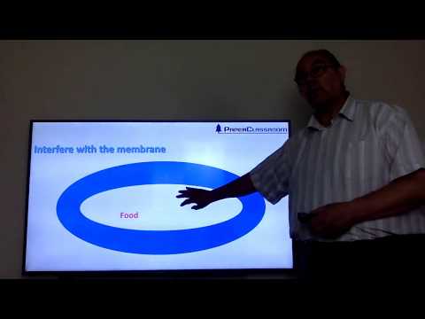 56 - process aids and biocides