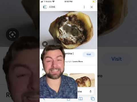 Scumbags of history: the Irish potato famine #shorts