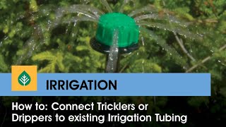How to: Connect tricklers or drippers to existing irrigation tubing