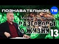 Разговоры о жизни 13 (Познавательное ТВ, Михаил Величко) 