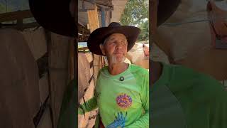 Amansei até um jacaré!