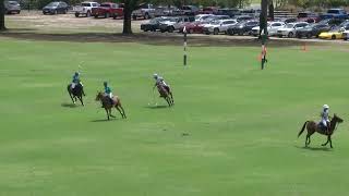 The Villages Polo Club 3/8/2026