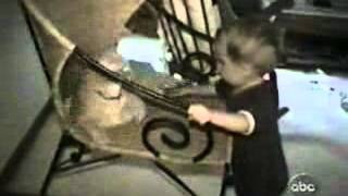 Cat plays on the kid&#39;s head