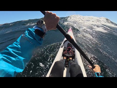 Big Swell Millers - Fishoek 
