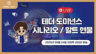 2025.08.24 - 테더도미넌스 시나리오 & 알트 현물