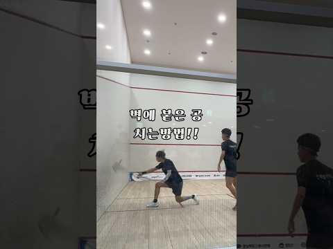 벽에 붙은 공 치는 약간의 꿀팁‼️ #squash #스쿼시