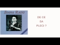 Ioana Radu 16 Romante Avi