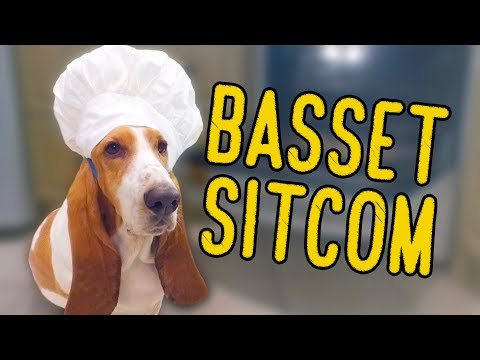 Basset Family: TV's best sitcom! 📺