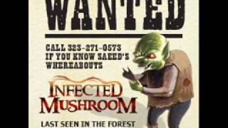 INFECTED MUSHROOM - End Of The Road
