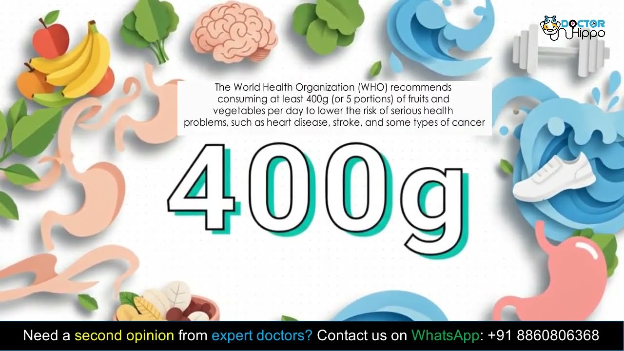 A Global Guide to Modern Health and Holistic Wellness | Doctor Hippo