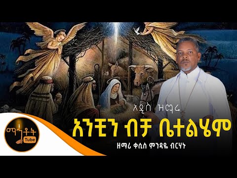 አንቺን ብቻ ቤተልሔም ️