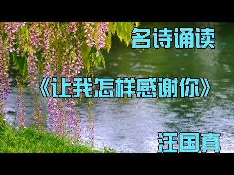 名诗诵读《让我怎样感谢你》作者：汪国真