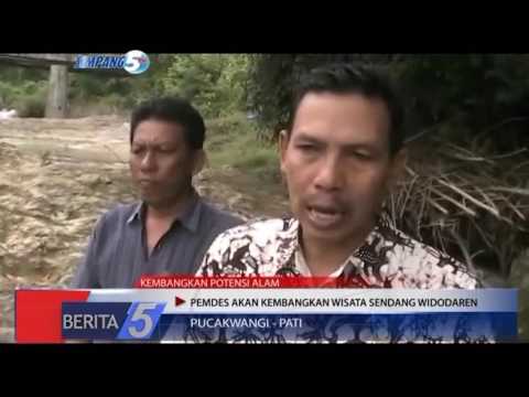 Bagaimana meningkatkan potensi 100 Afrodisiak terbaik