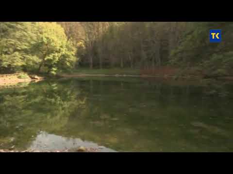 Sabahudin Dino Šabanović - Malenim sokakom