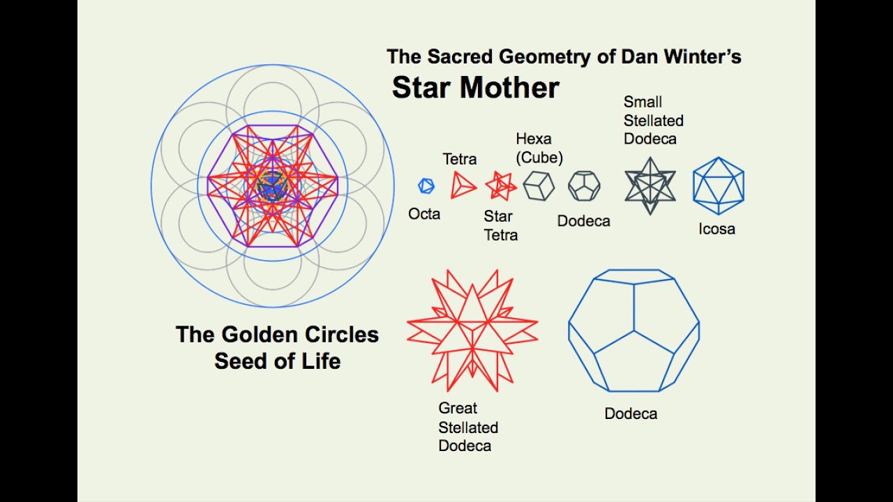 Dan Winter's Star Mother Model: The Fractal Geometry of Implosion, DNA, and Human Energy field