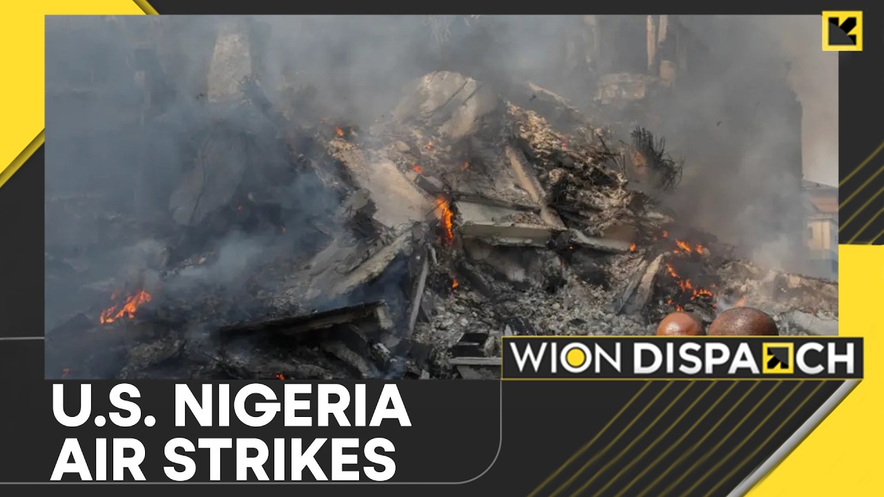 Nigeria Airstrike: At Least 175 I.S. Fighters Killed in Strikes | WION DISPATCH