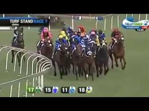 2015 Sansui Summer Cup