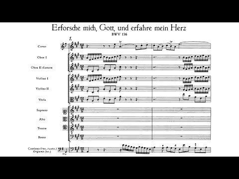 J.S Bach - Cantata: Erforsche mich, Gott, und erfahre mein Herz, BWV 136