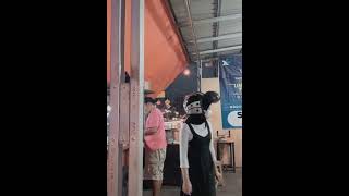 Download lagu STORY WA Mentahan Halu Sama Cewek Cantik, Buat Manasin Mantan, Prank Temen. mp3