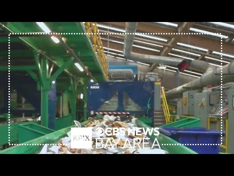 San Francisco company using AI to improve recycling process