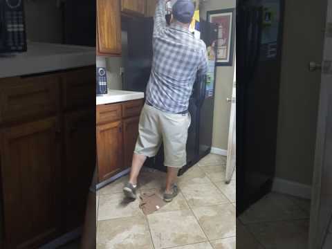 This  is  what  happens when  a rat is in your  house