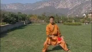 Shaolin big power kung fu (pao quan) + part 3 B