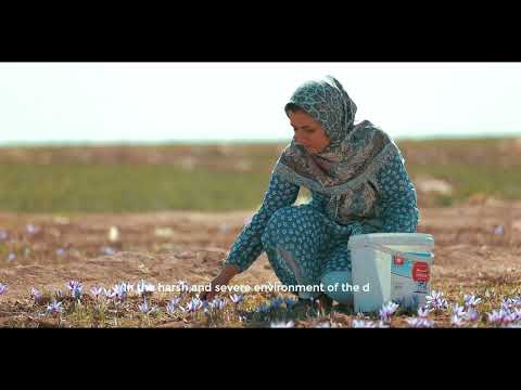 Armaghan Organic Agroindustry