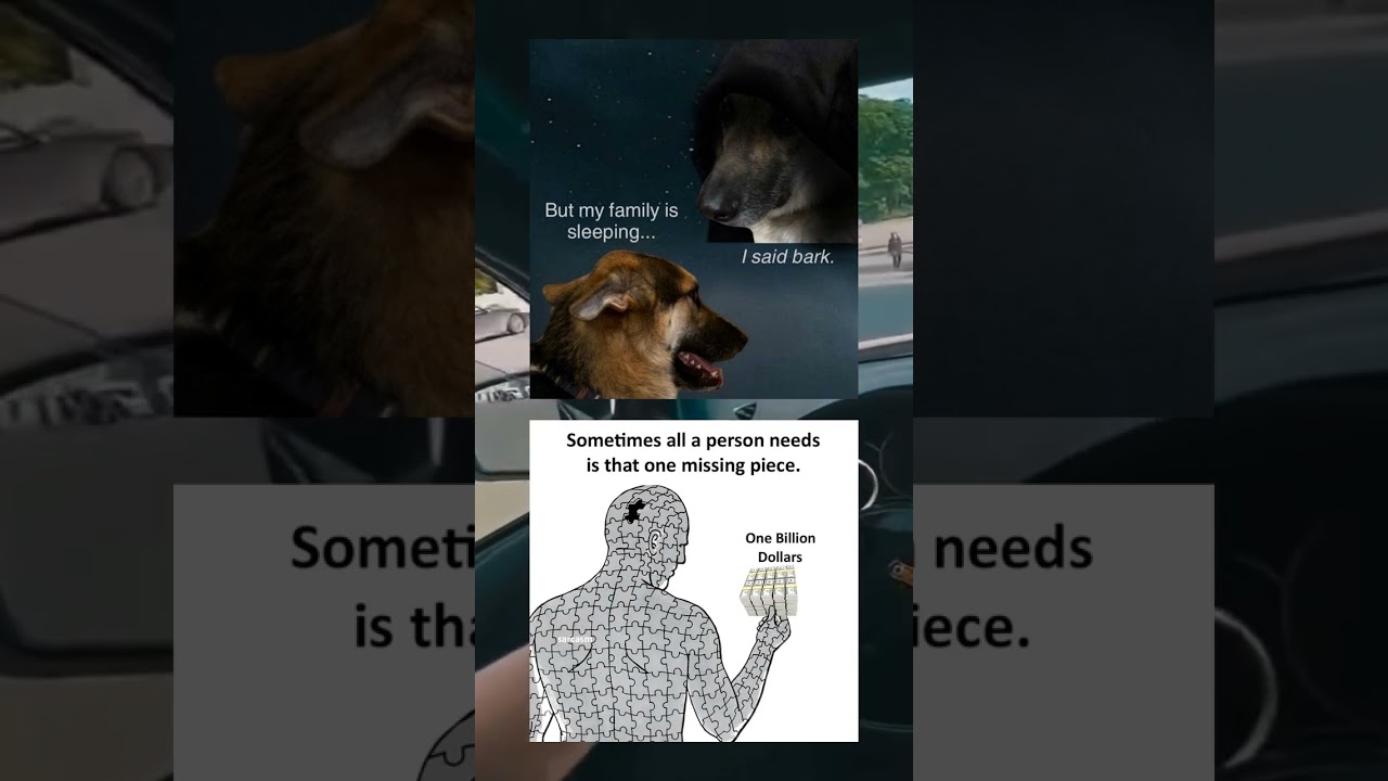 🐕 + One Missing Piece