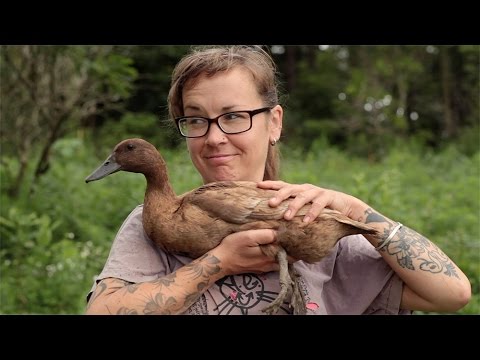 Dreaming with Lola (Trailer) - Green Film Fest 2017