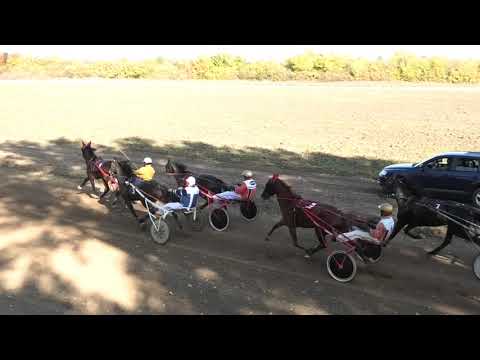 Trka "Carl Crown" 24.10.2021 Dark Wood - Miodrag Dimitrijević