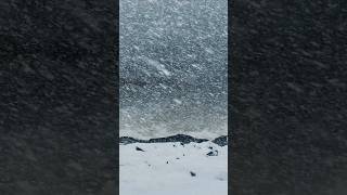 Odyssey of the Seas Delayed by Fierce Winter Storm, Next Sailing Shortened. #cruise #royalcaribbean