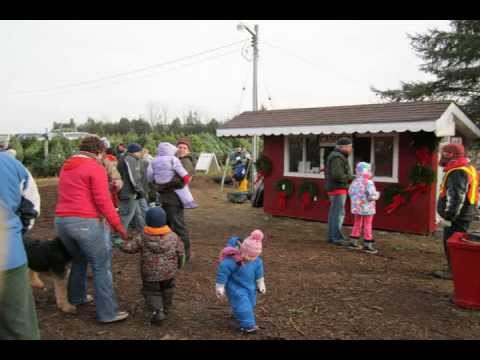 Benjamin Tree Farm 91.5 FM The Beat - Kitchener - Waterloo.avi