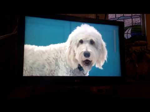 ITV Granada Adverts | Wed 6|9|2017