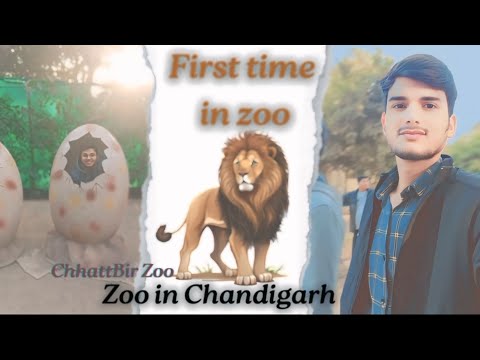 First time in Zoo | Chandigarh | ChhattBir Zoo |  Hiii  Nishant