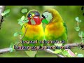 Manikuyil Isaikkuthadi Male Song Lyrics