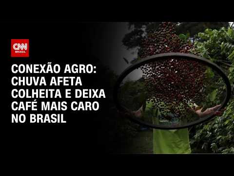 Chuva afeta colheita e deixa café mais caro no Brasil | CNN NOVO DIA